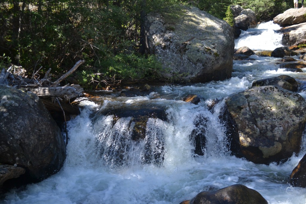 Copeland Falls Institute for Academic Outreach